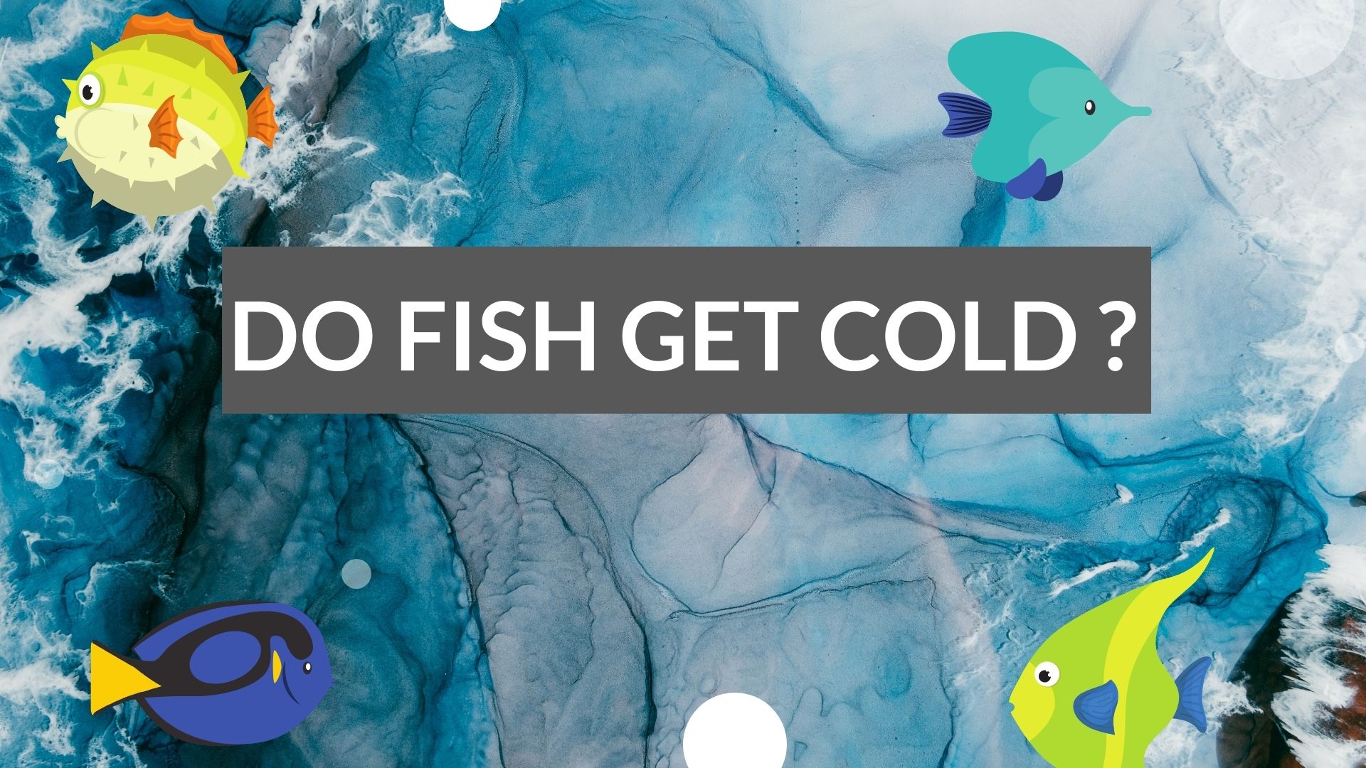 Fish to catch a cold