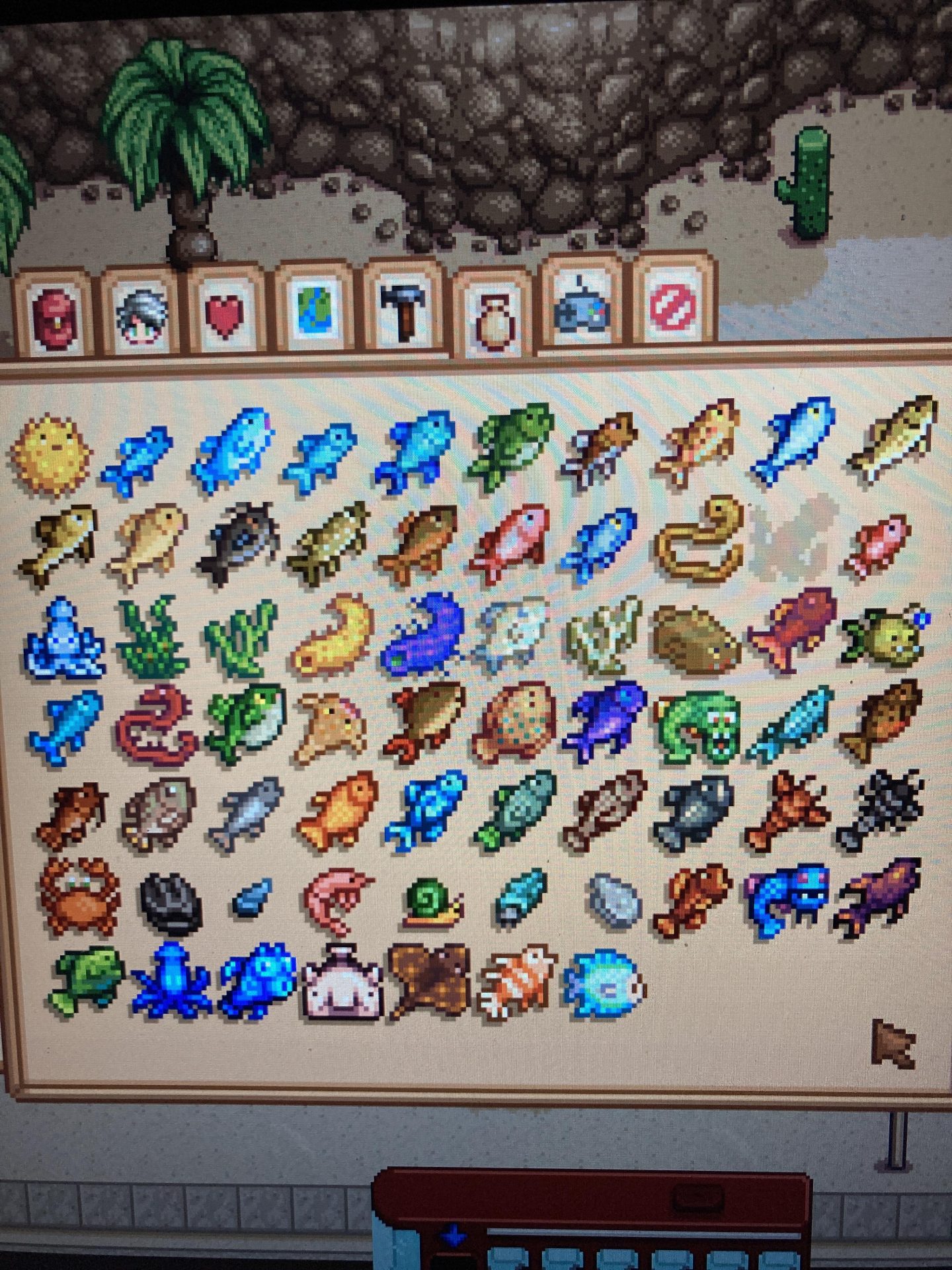 How to Catch Crimsonfish Stardew Valley